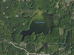 Lake of the Woods Homes and Land for Sale